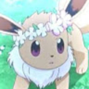 Meet your Posher, Ezra lynn